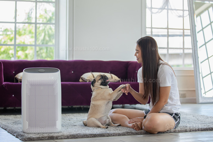 妇女在舒适的白色客厅里玩狗排泄器和空气净化器，在家中过滤和清理灰尘PM2.5 HEPA，以获得新鲜空气和健康的生活，空气污染概念_副本.jpg