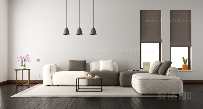 白色客厅与典雅的沙发_副本.jpg
