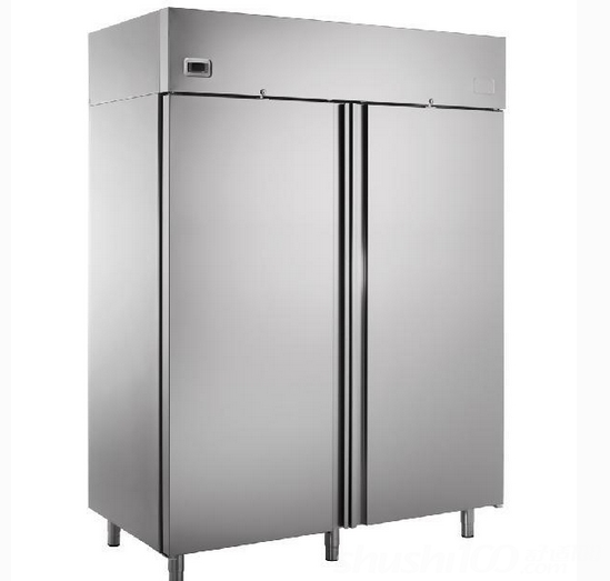 双门冰柜哪个牌子好-双门冰柜的品牌推荐