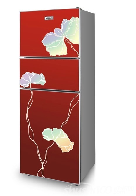 国产哪个牌子冰箱好-国产冰箱品牌推荐 - 舒适