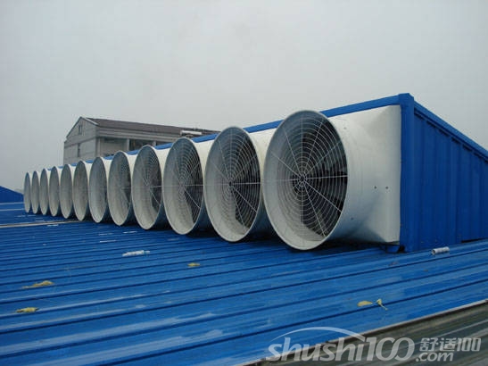 屋顶排气扇—屋顶排气扇的种类有哪些？