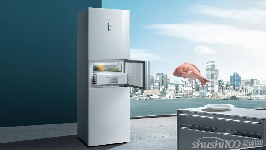 0度冰箱—0冰箱与普通冰箱的区别