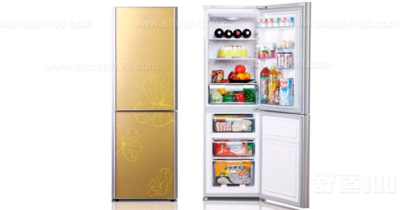家用冰箱推荐—家用冰箱有怎么选购？