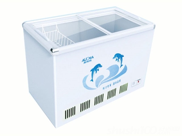 家用电器冰柜-如何选购家用电器冷柜 - 舒适10