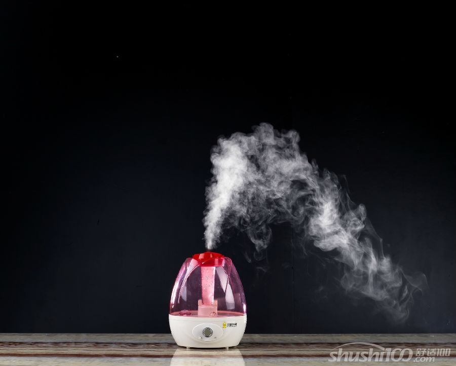 蒸汽美容加湿器—如何选购蒸汽美容加湿器