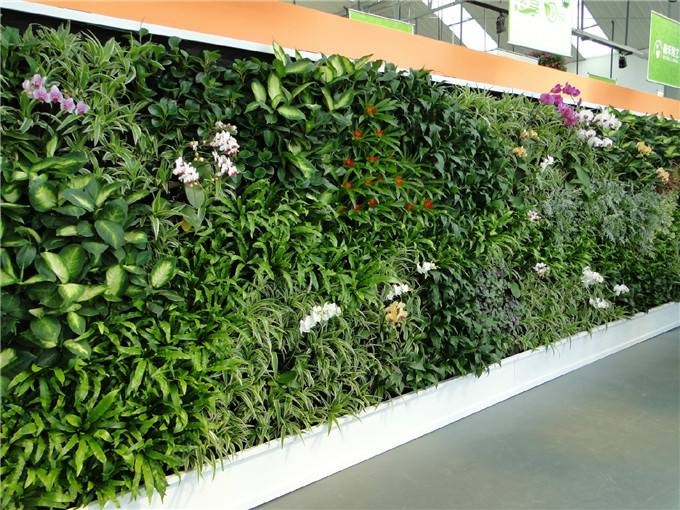 植物墙做法—如何做植物墙
