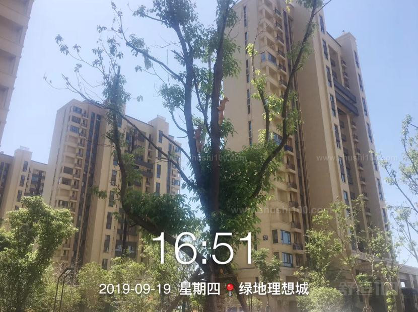 南京·绿地理想城|中央空调=精彩生活由我创造 原来生活可以更美的！