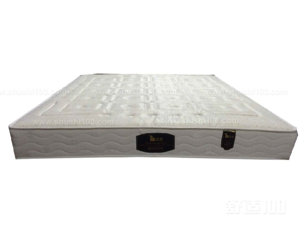 乳胶弹簧床垫—乳胶弹簧床垫品牌介绍分析