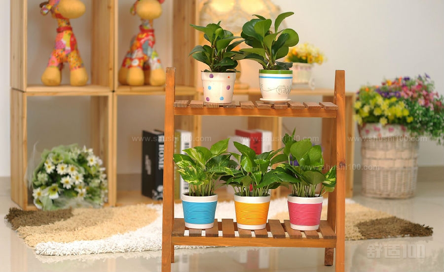 室内木制花架—室内木制花架的几种类型